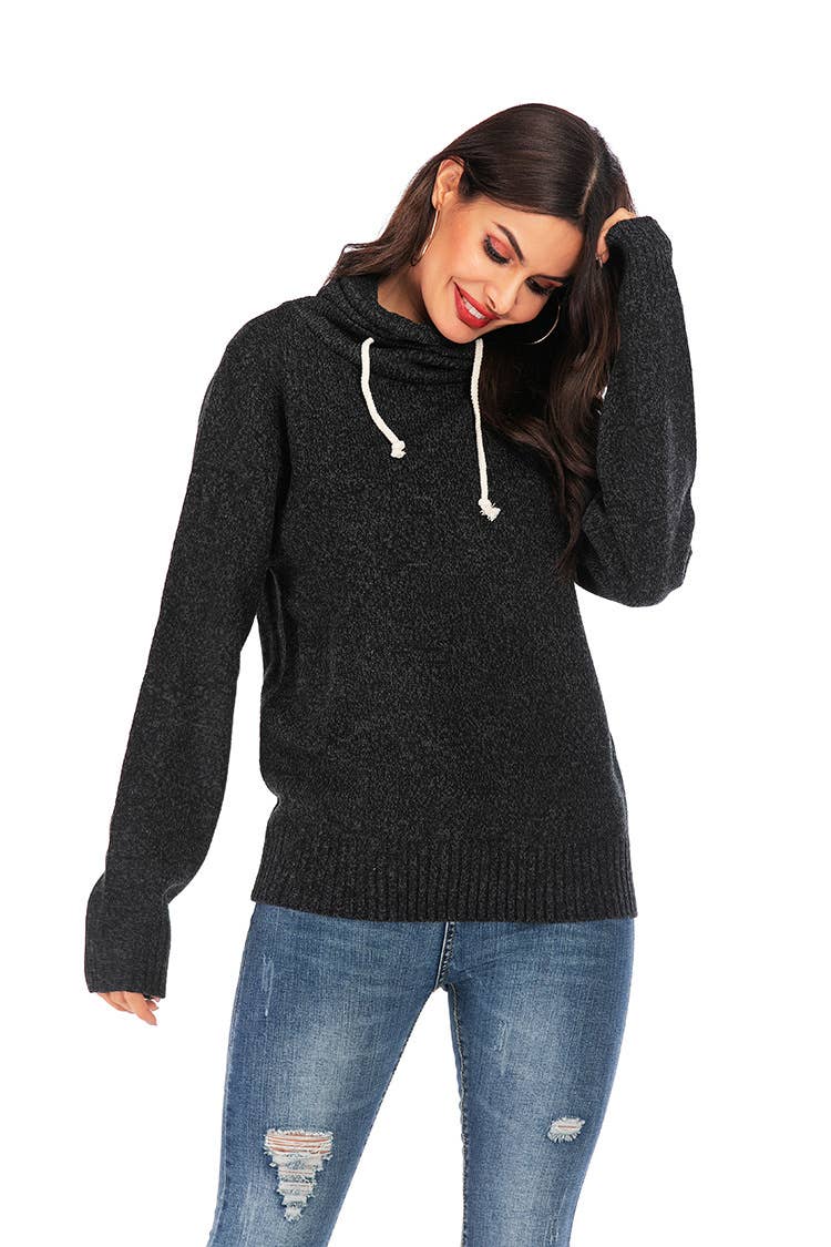SWEATER PILE PILE COLLAR LONG SLEEVE HOODIE