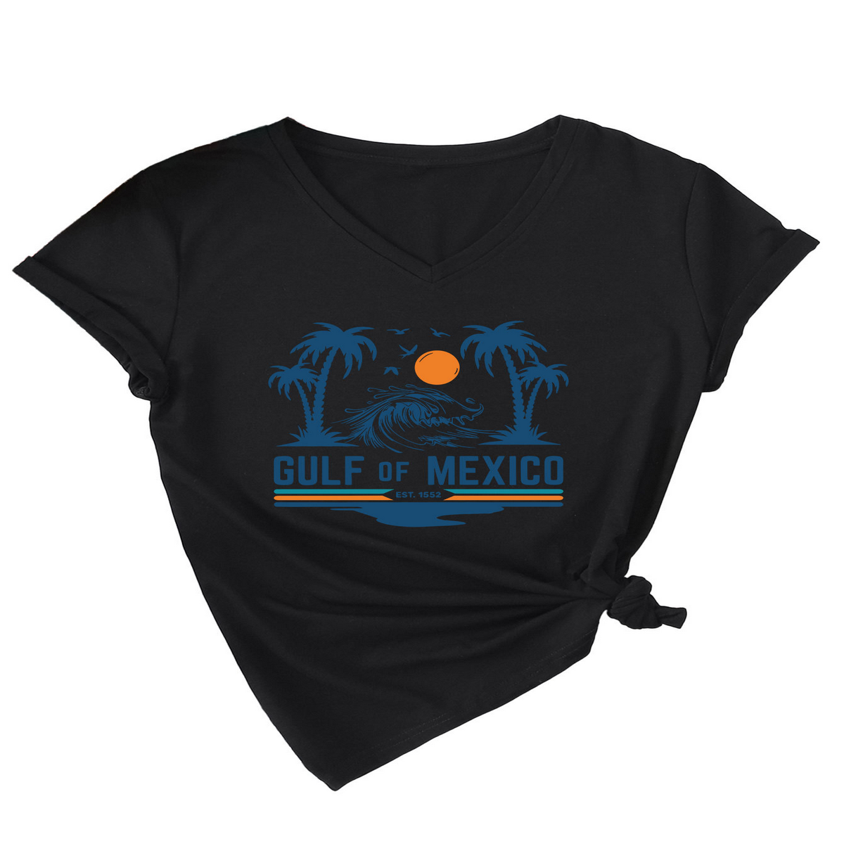 Slim V???Neck T???Shirt ??Gulf of Mexico Est Print_CWTTS1538