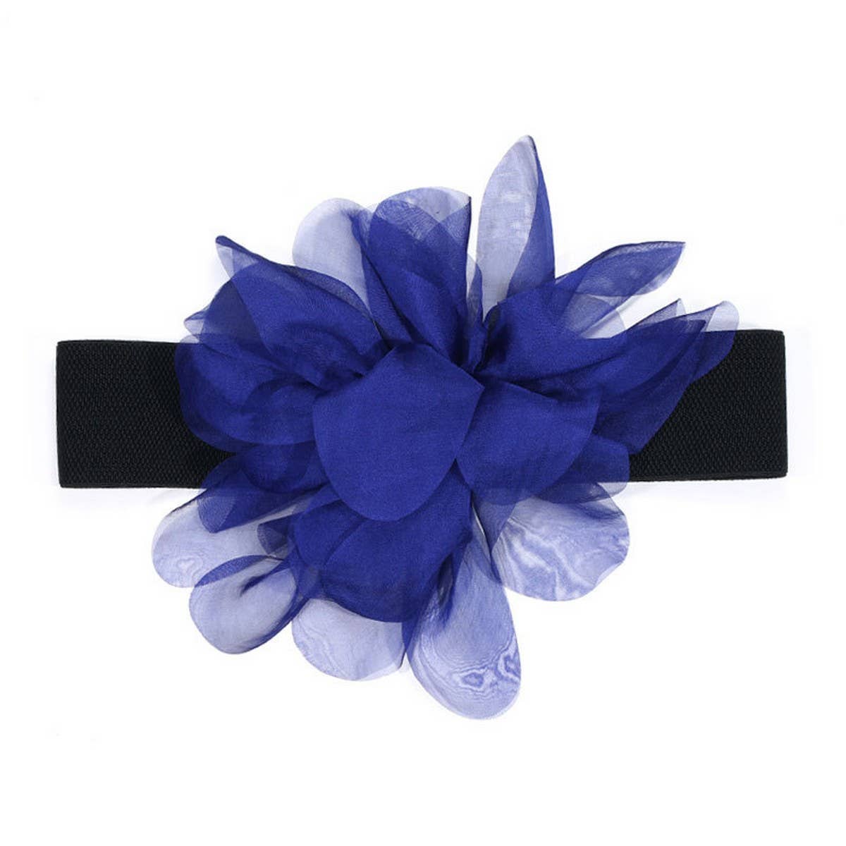 Elastic Stylish Waist Cincher Belt for Women