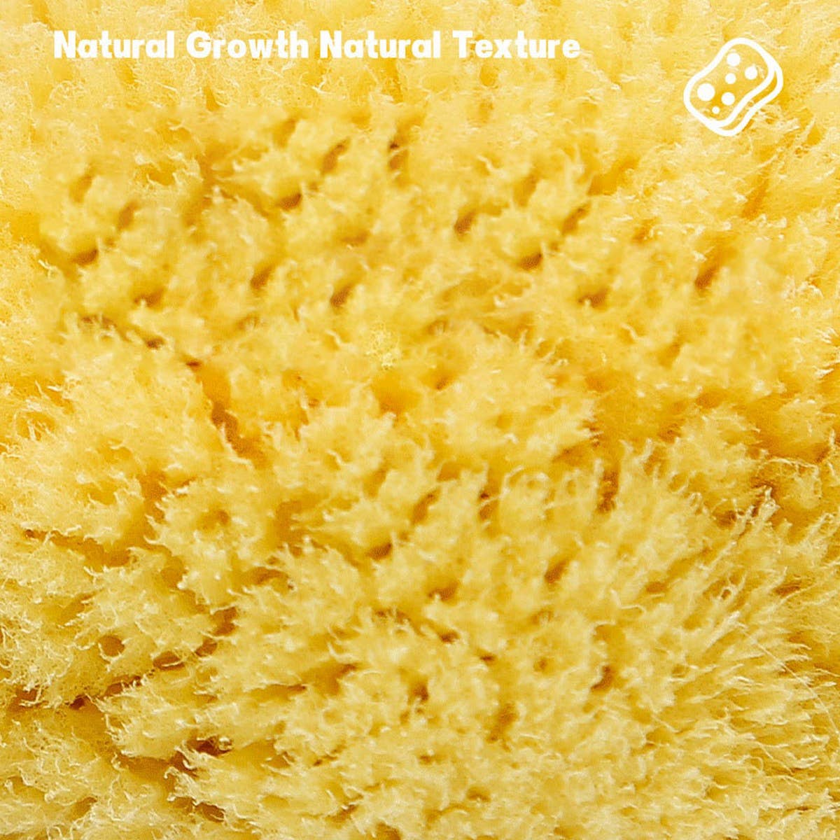 HARD HEAD EXFOLIATING NATURAL SPONGE VELVET SPONGE
