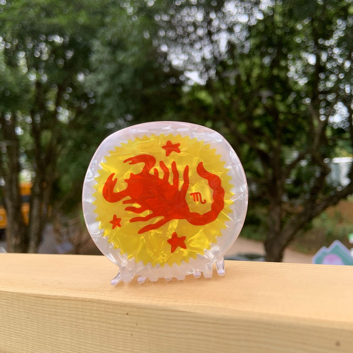 Star Sign Claw Clip ??Acrylic Cute Hair Accessor_CWAHA2141