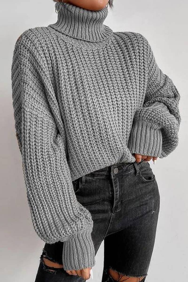 Long-Sleeved Pullover Turtleneck Sweater_Cwoswl3836