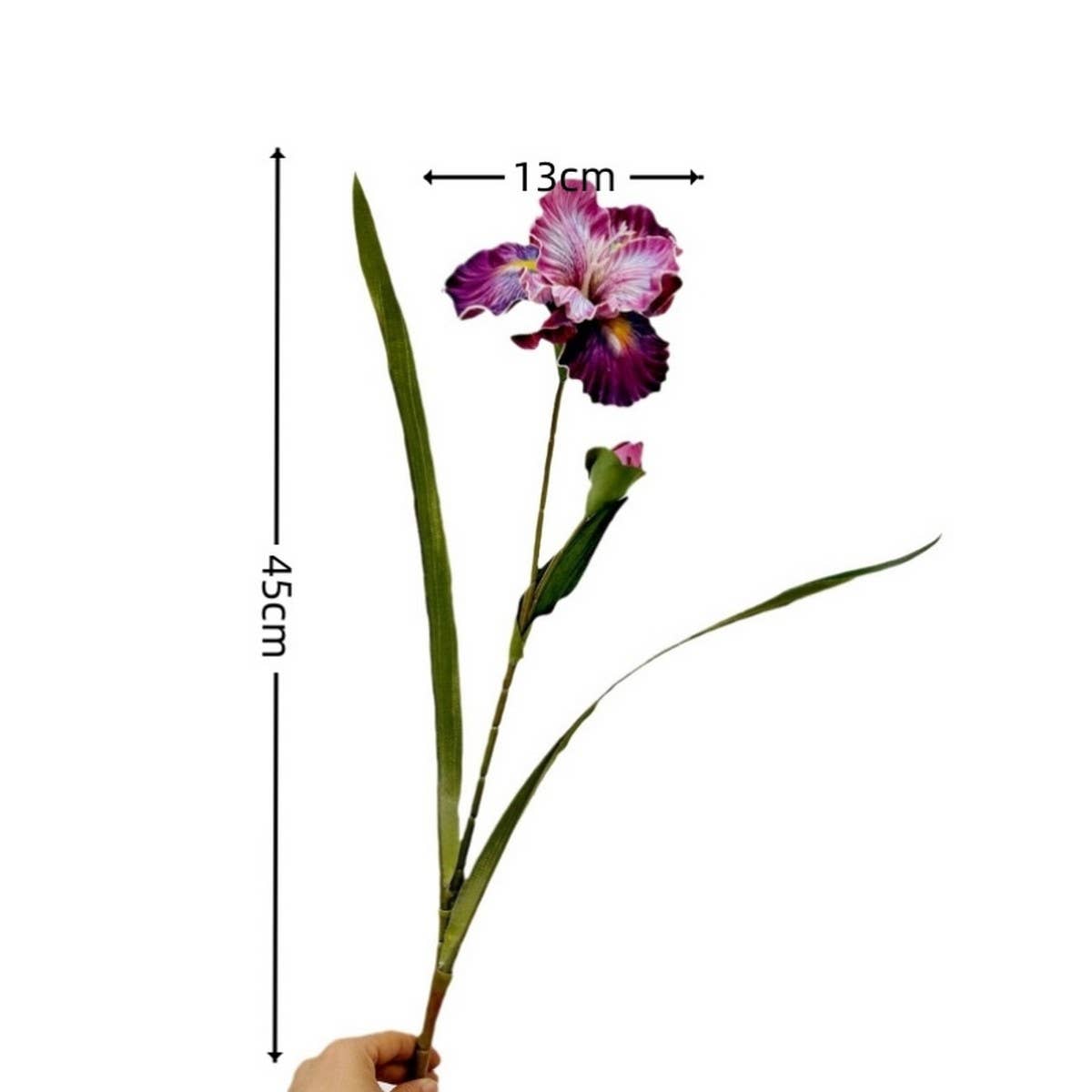 High-Quality Artificial Iris Oil Painting Style