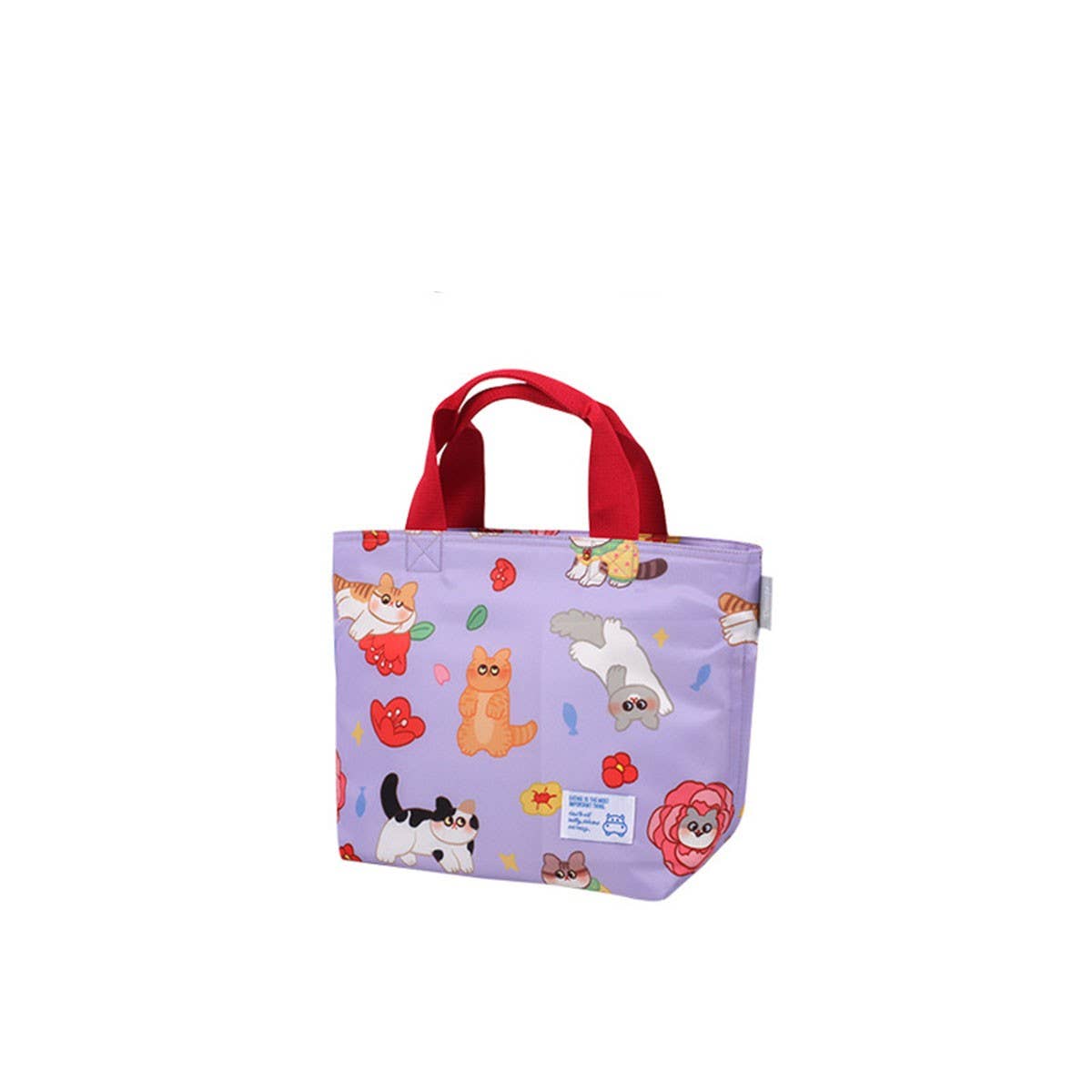 WATERPROOF PORTABLE THERMAL BENTO BAG FOR STUDENTS_CWAB1817