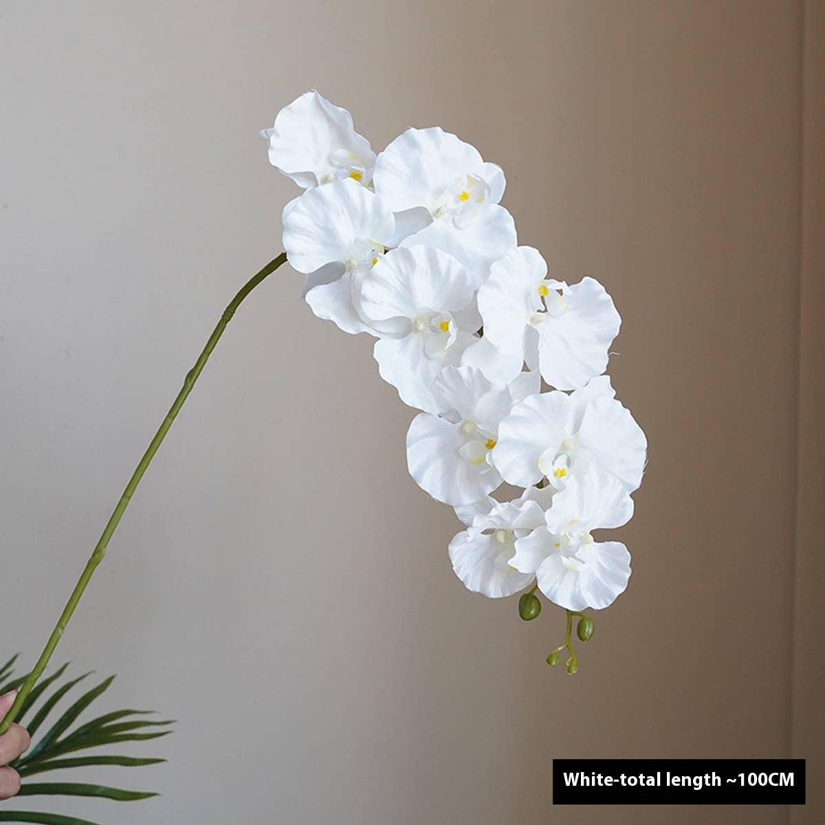 Premium Silk 9-Head Phalaenopsis Orchid Home Decor_CWMM6479