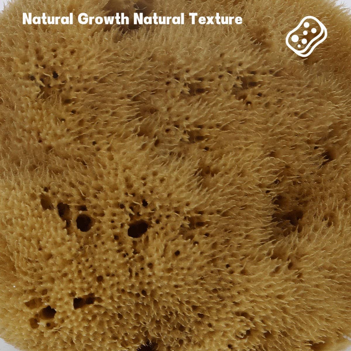 NATURAL SPONGE COFFEE COLOR NATURAL VELVET SPONGE