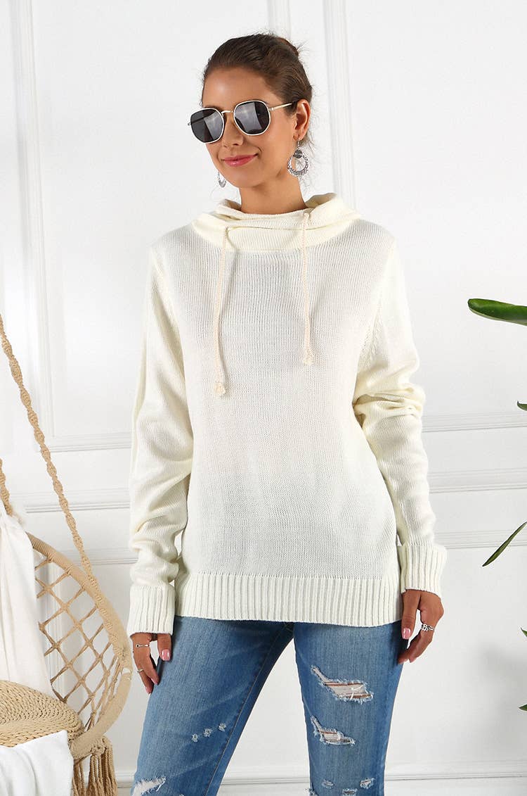 SWEATER PILE PILE COLLAR LONG SLEEVE HOODIE