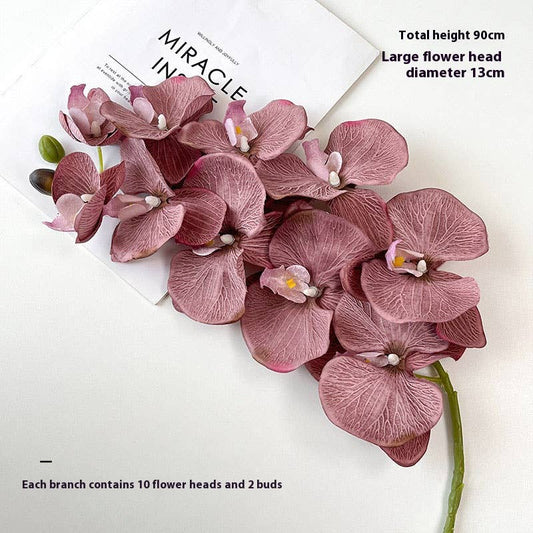Vintage 10-Head Phalaenopsis Orchid Home Decor
