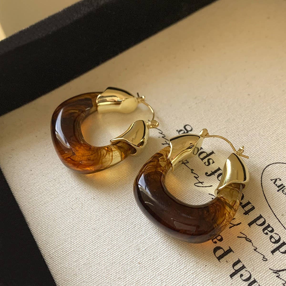 RETRO BROWN LIGHT LUXURY EARRINGS_CWASC1339