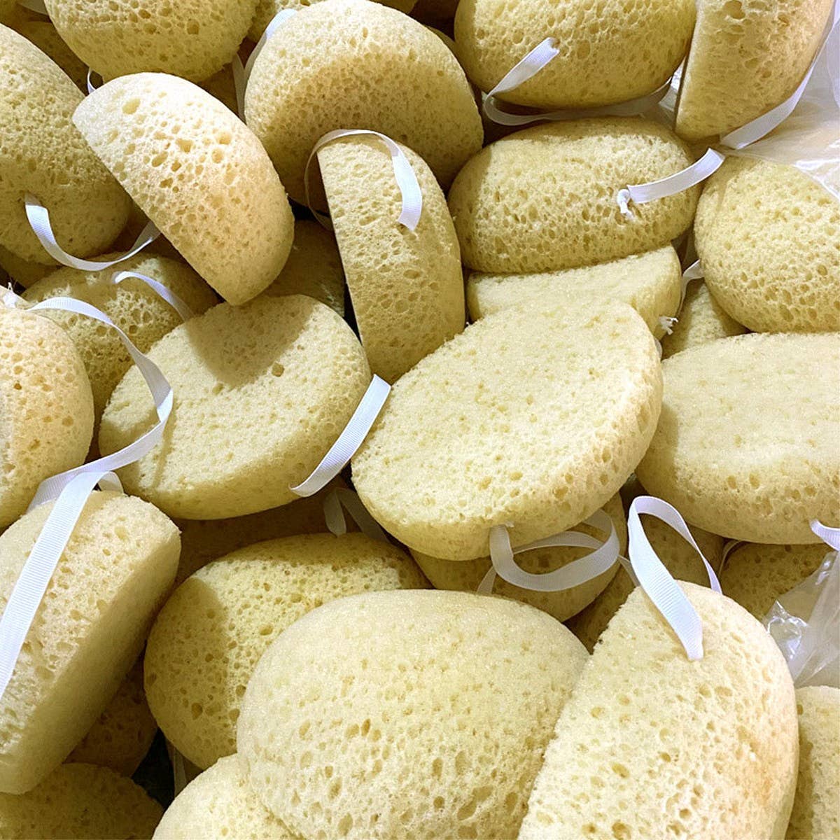 LARGE POROUS SEAWEED BATH SPONGE