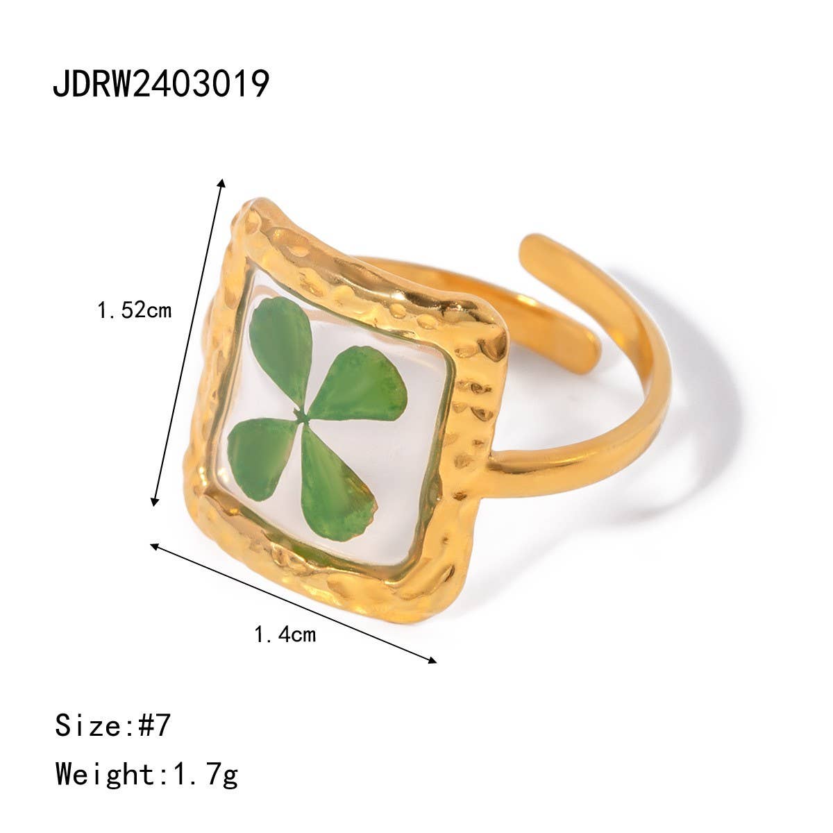 ROUND PRESERVED DRIED FLOWER RING