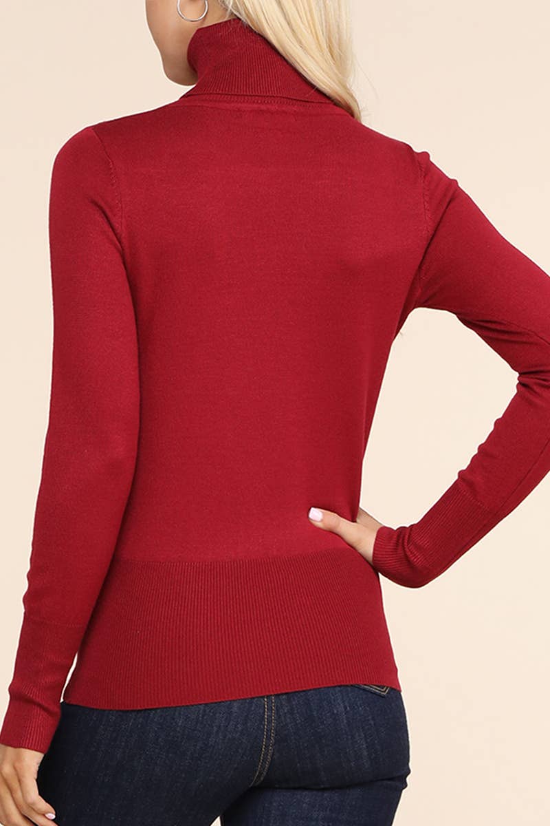 AWOSWL285_Stretch Turtle Neck Long Sleeve Pullover Sweater