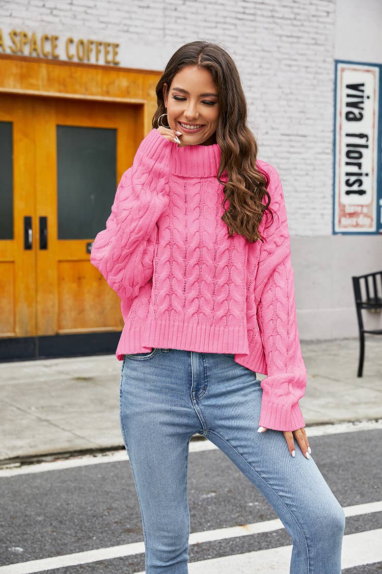 TURTLENECK FLORAL PULLOVER SOLID COLOR SWEATER