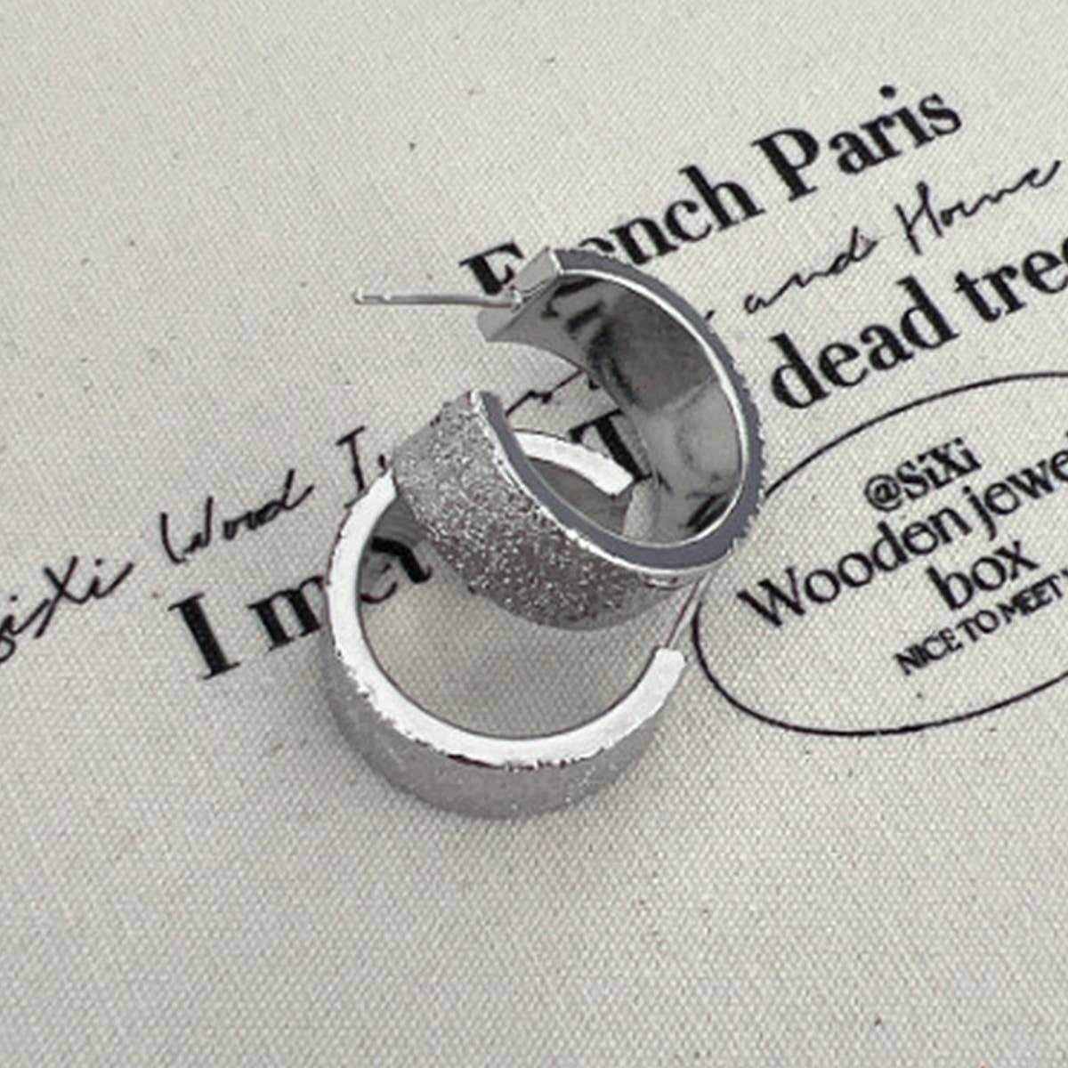 LIGHT LUXURY CURVED EARRINGS