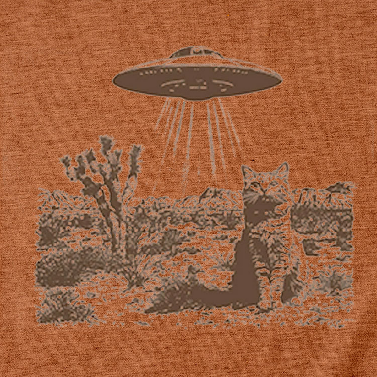 Cat and Spaceship Graphic Tee for Women_CWTTS1514