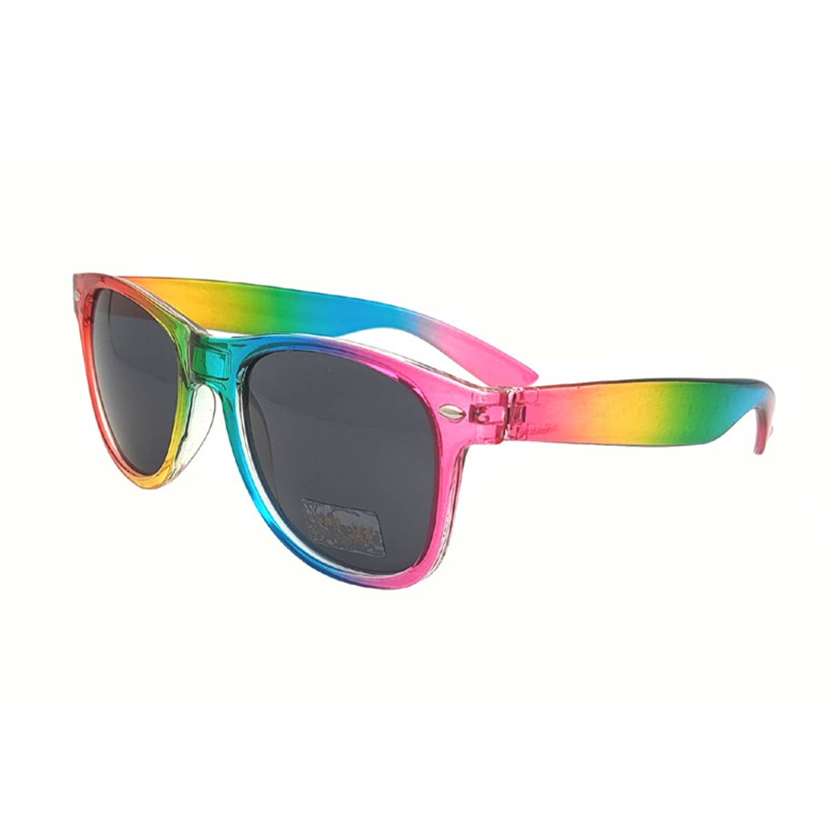 RAINBOW FRAME SUNGLASSES_CWASG0356