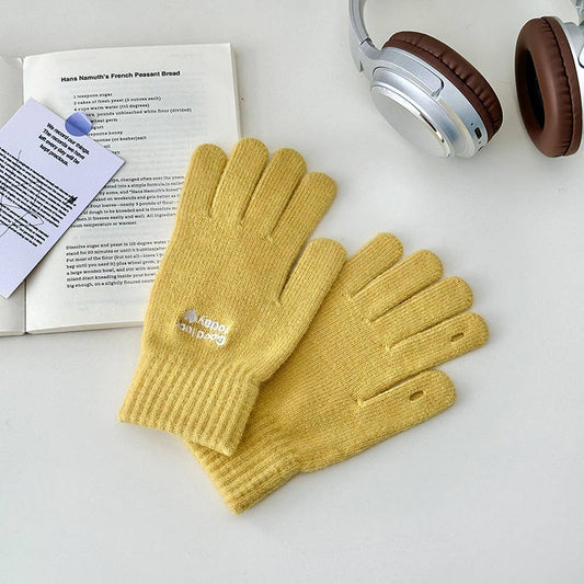 THICKENED WARM TOUCH SCREEN GLOVES_CWAG0143