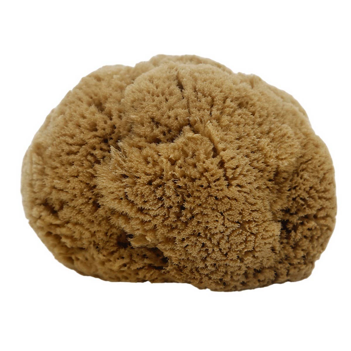 HARD HEAD EXFOLIATING NATURAL SPONGE VELVET SPONGE
