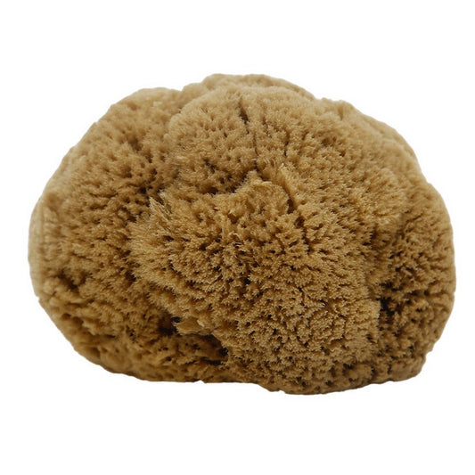 HARD HEAD EXFOLIATING NATURAL SPONGE VELVET SPONGE