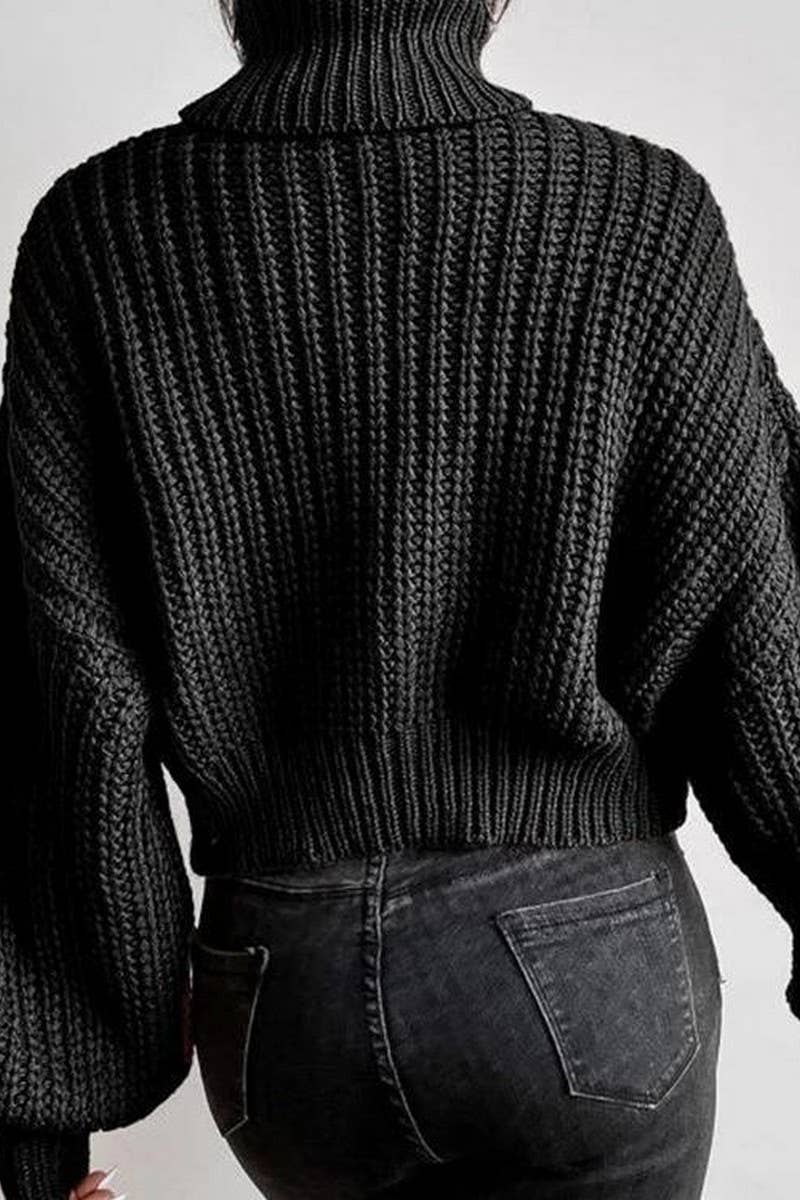 Long-Sleeved Pullover Turtleneck Sweater_Cwoswl3836