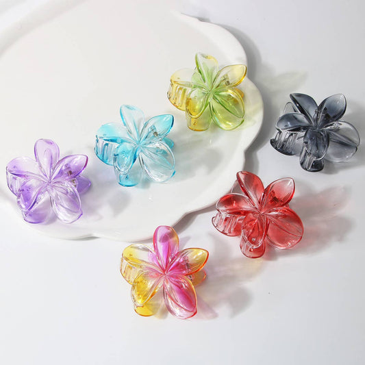 New Gradient Plumeria Claw Clip for Women_CWAHA1057