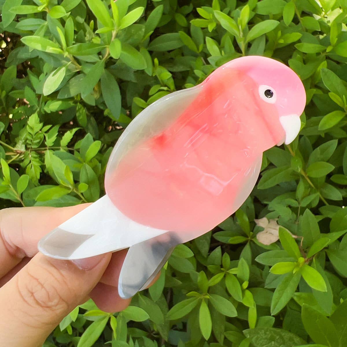 Parake-like acetate board hair clip headwear