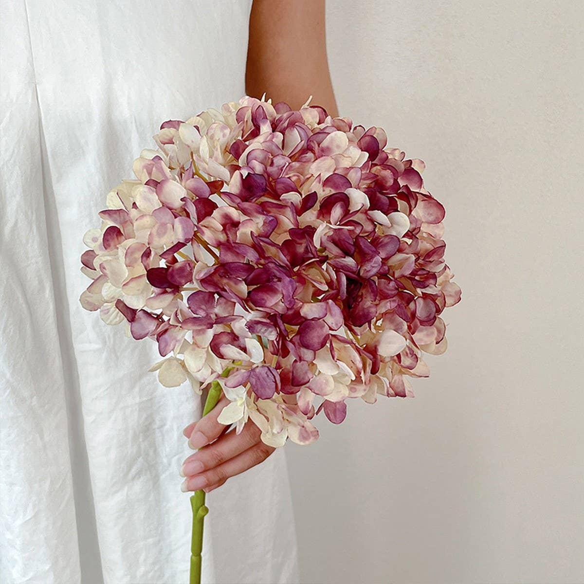 Autumn Vintage Single Stem Burnt Edge Hydrangea_CWMM6480