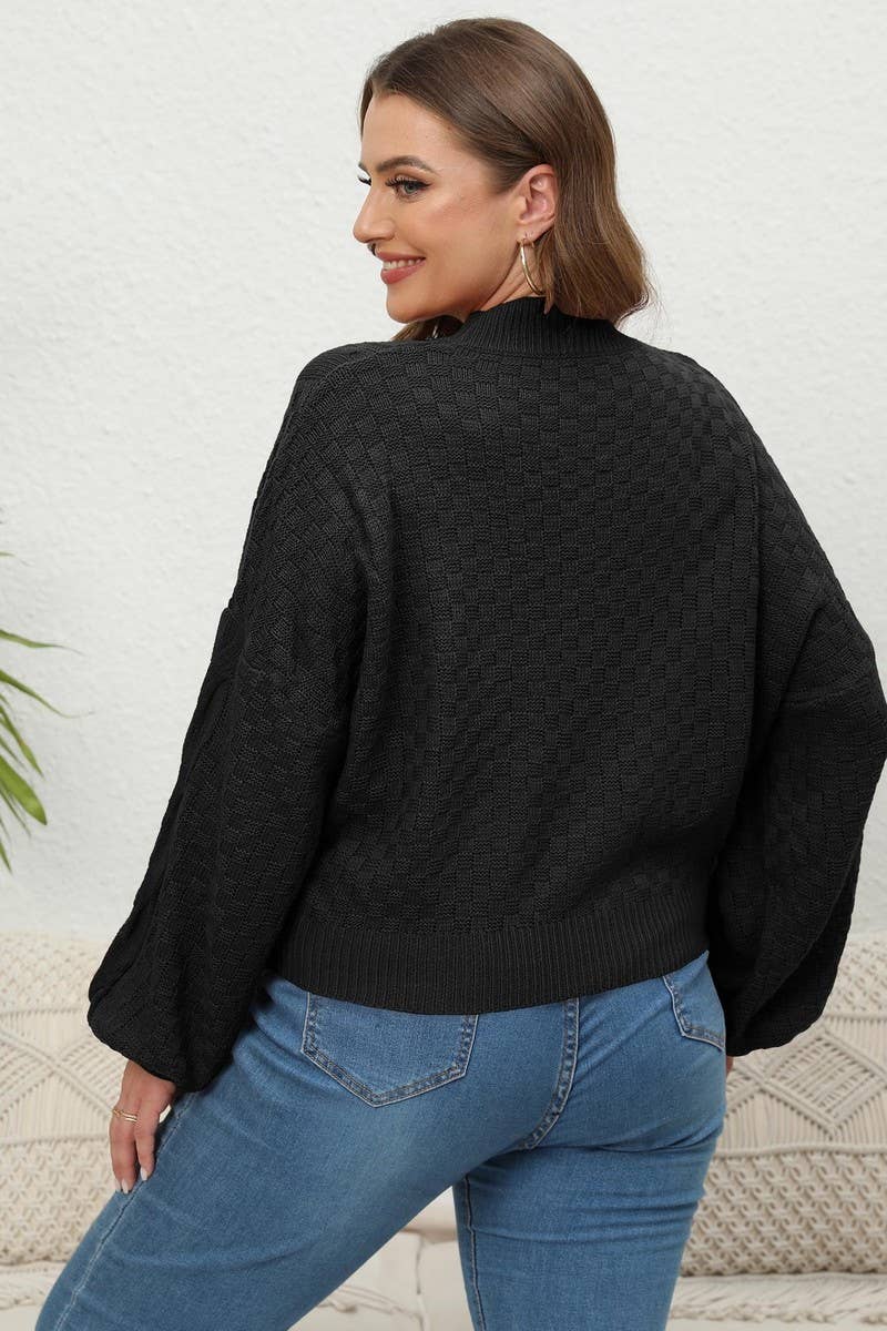 CWOSWL1572_PLUS Size Crew Neck Pullover Long Sleeve Sweater