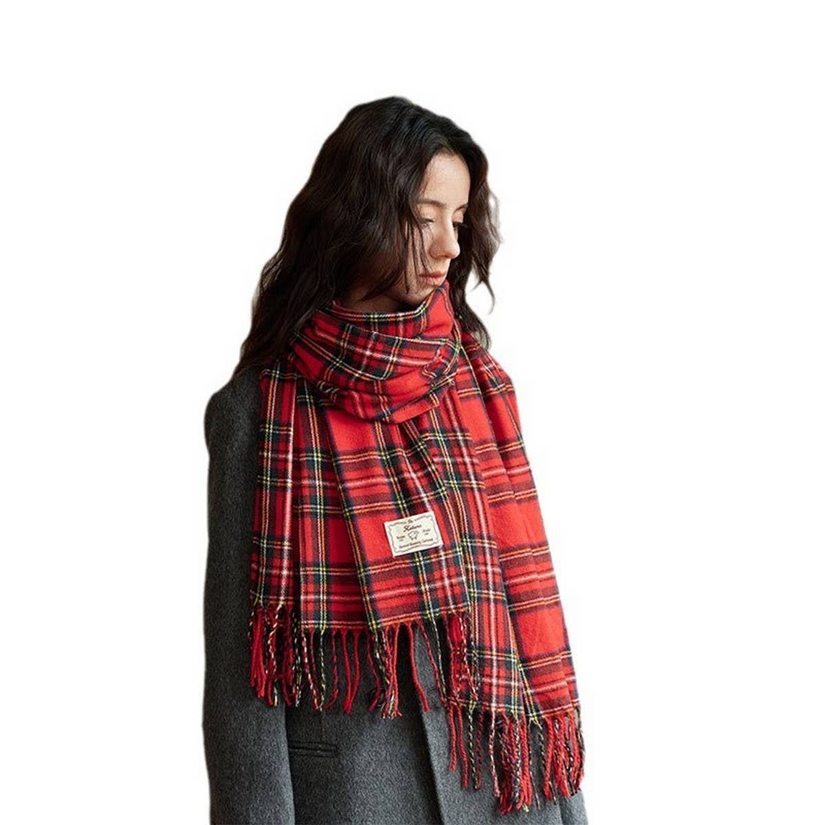 Plaid Colorblock Scarf - Classic Winter Wrap_CWASC2347