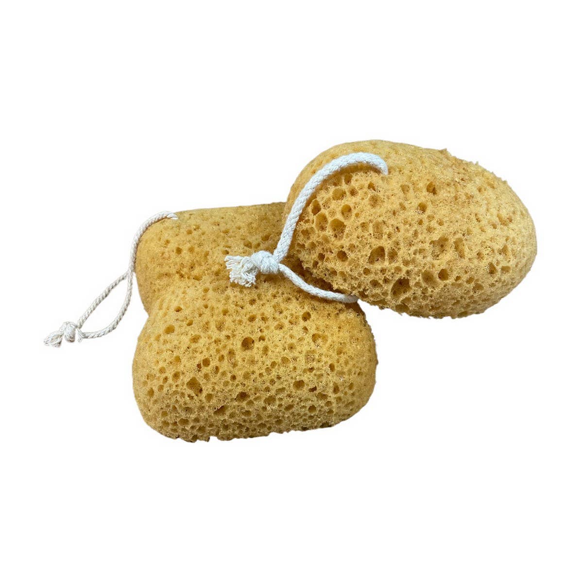 SEAWEED COTTON HONEYCOMB BATH BATH SPONGE