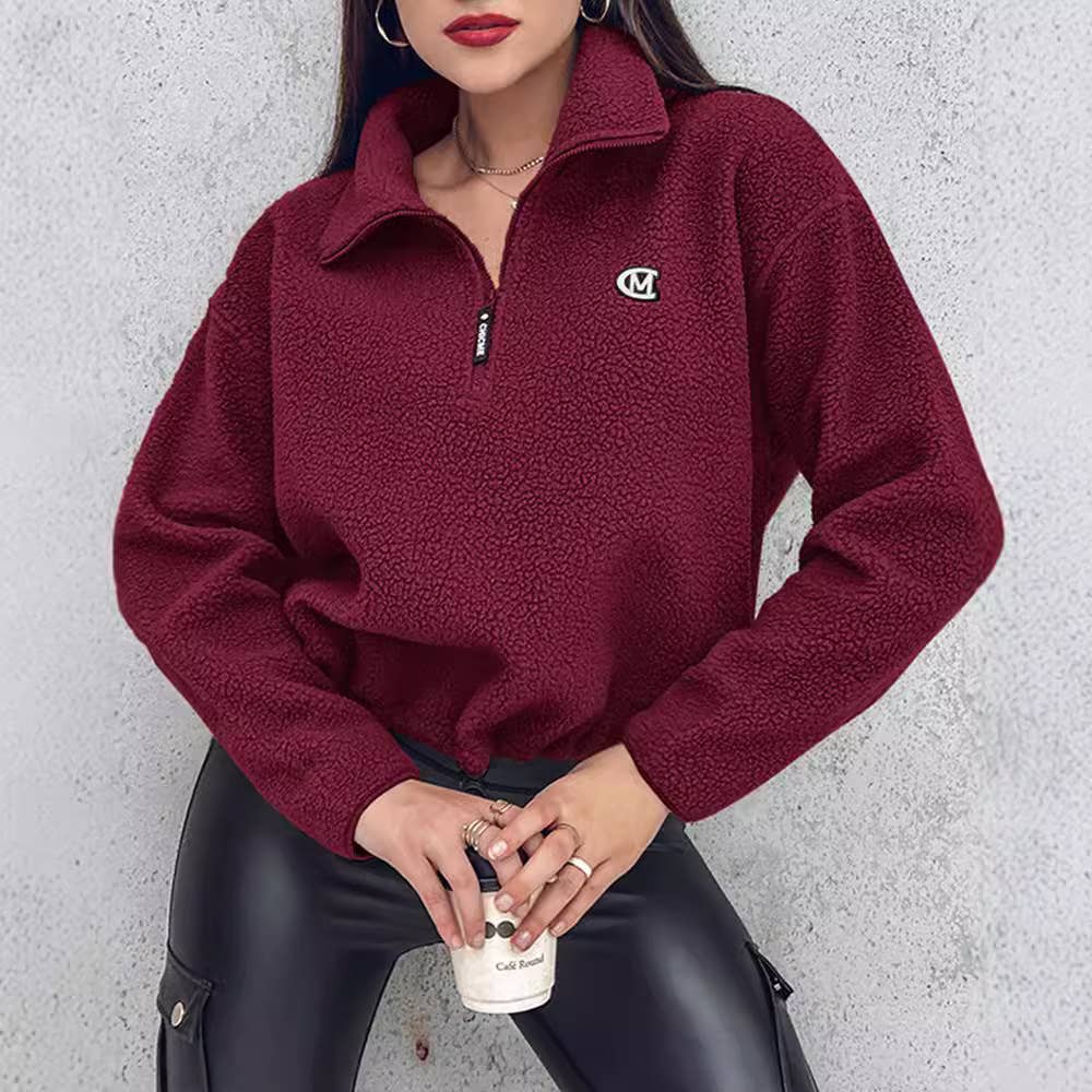 LAMB WOOL STAND COLLAR CASUAL SOLID COLOR HOODIE