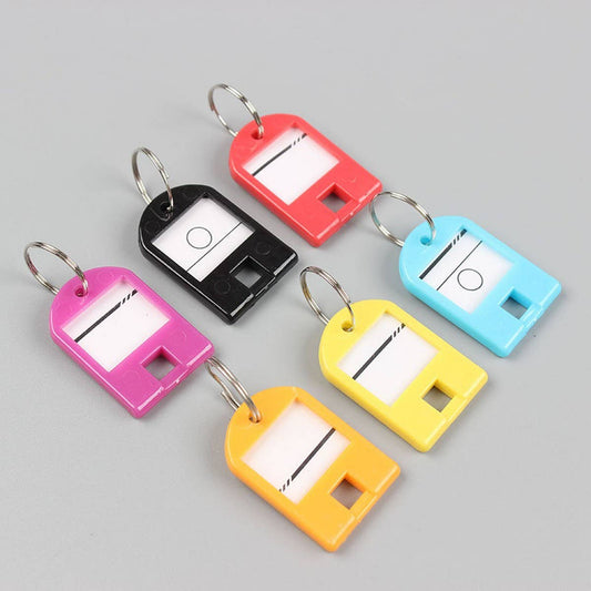 PACK OF 100 STURDY PLASTIC KEY TAG SORTING PLATES_CWMM2077