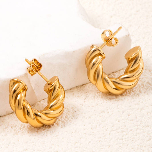 RETRO SIMPLE DESIGN STAINLESS STEEL EARRINGS_CWMM3600