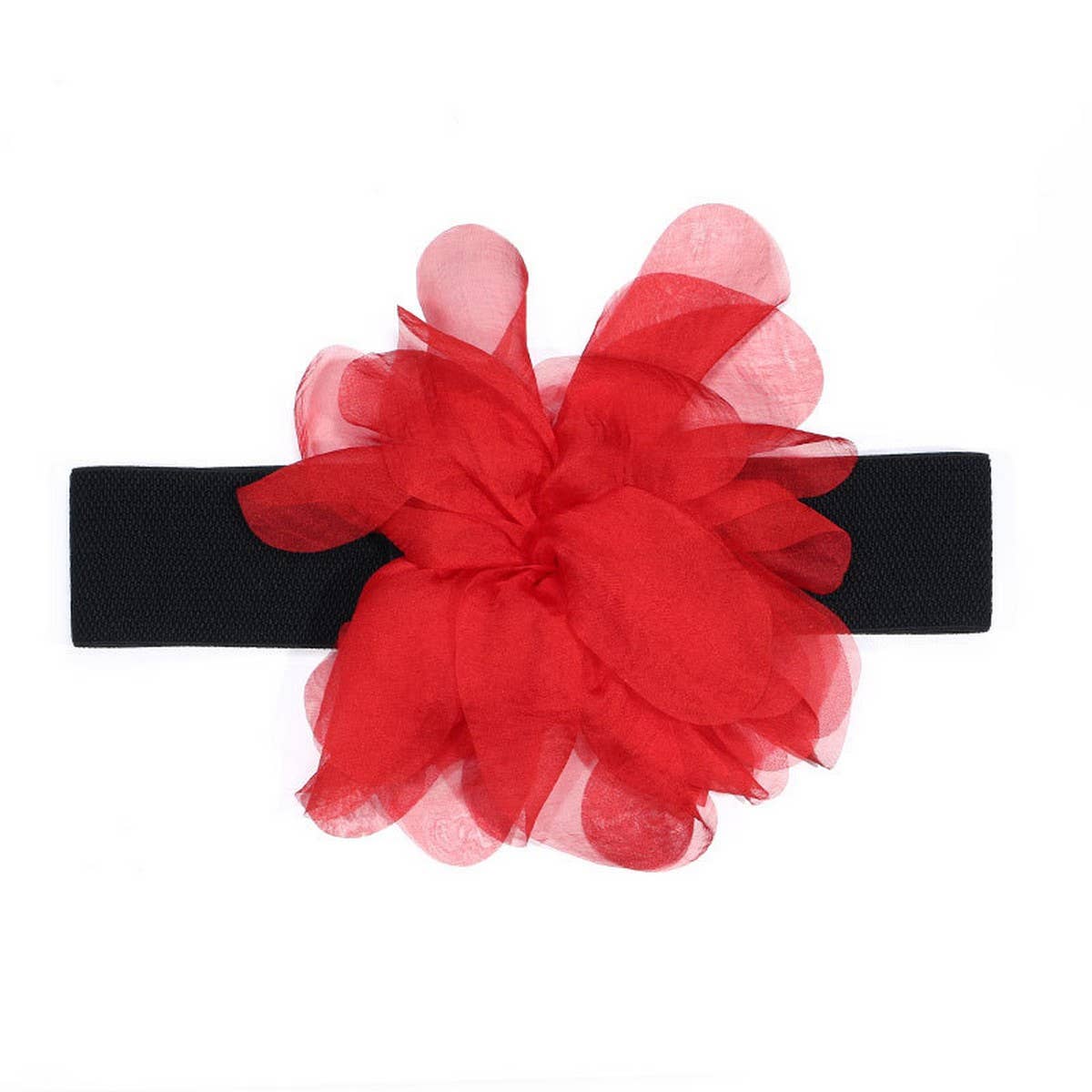 Elastic Stylish Waist Cincher Belt for Women