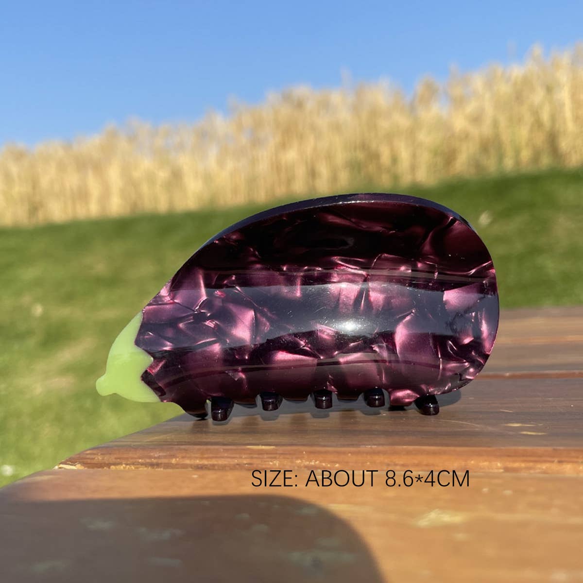 2024 NEW SIMPLE FRUIT GRABBER HAIRPIN_CWAHA0956