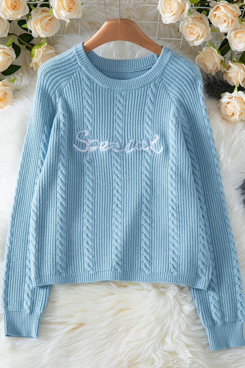 CWOSWL07450_LETTER EMBROIDERED CREW NECK KNIT SWEATER