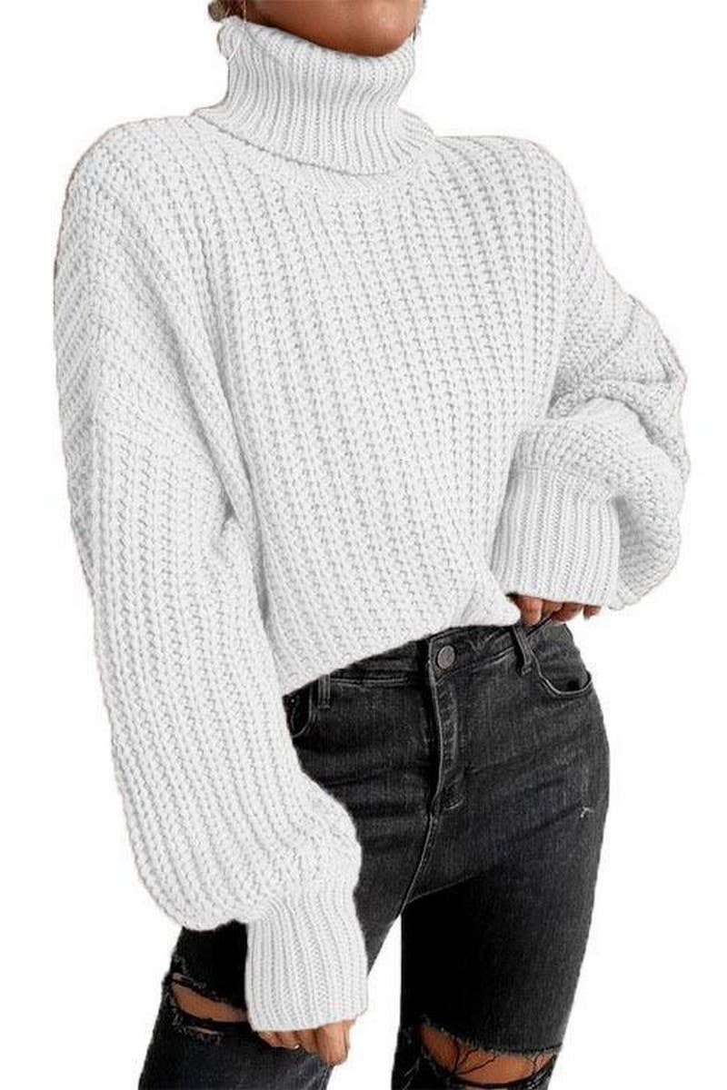 Long-Sleeved Pullover Turtleneck Sweater_Cwoswl3984