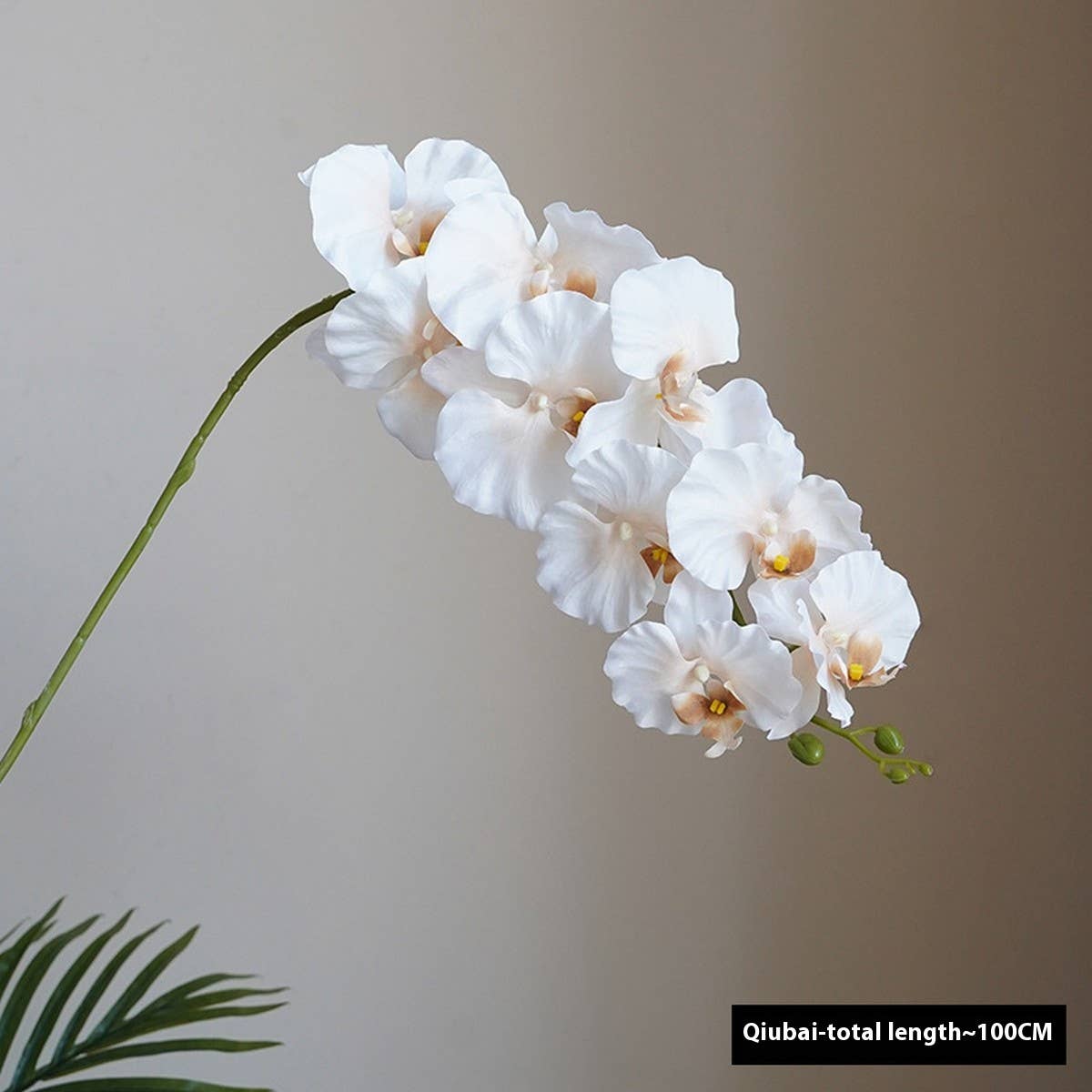 Premium Silk 9-Head Phalaenopsis Orchid Home Decor_CWMM6479