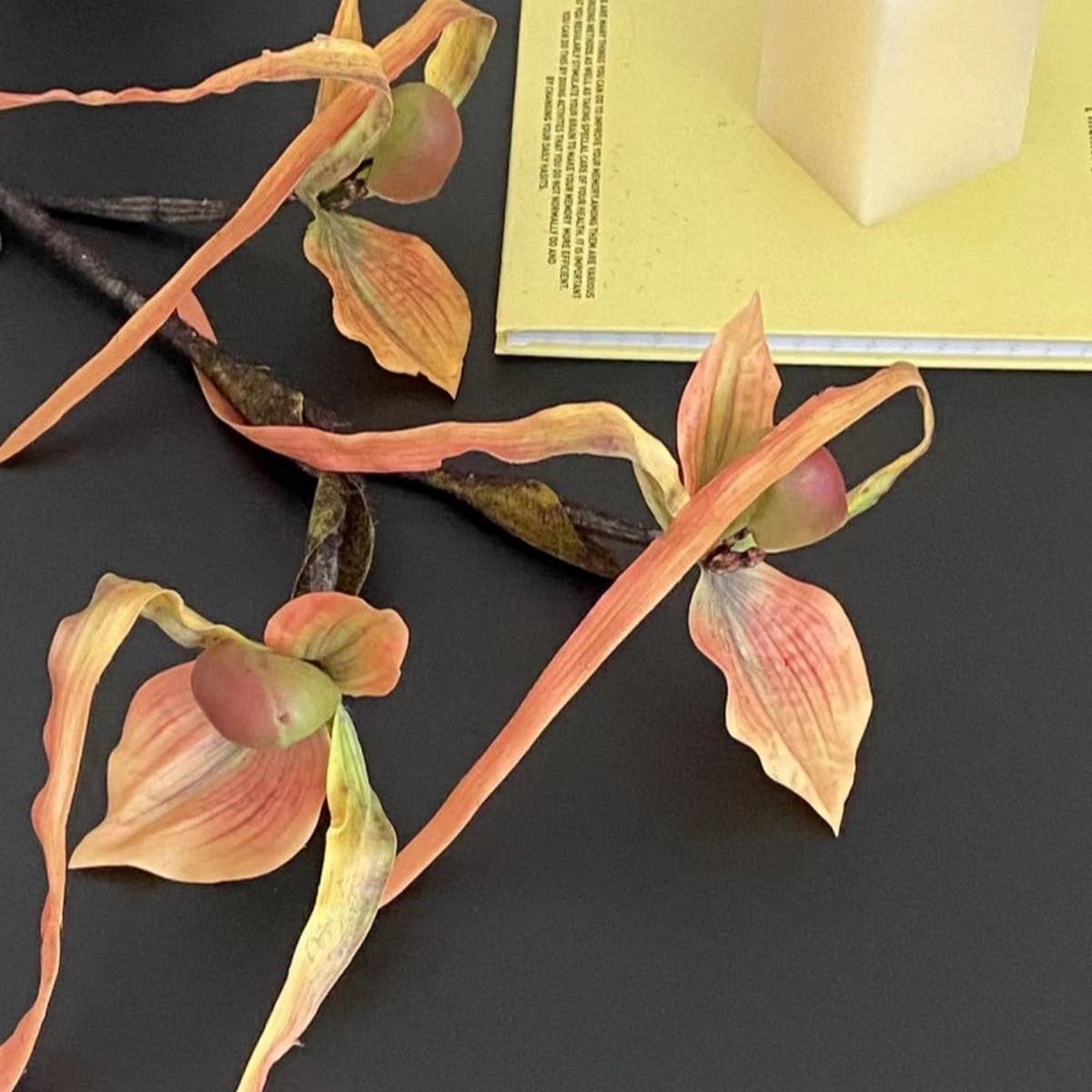 Artificial 3-Head Leafless Slipper Orchid Stem_CWMM6519