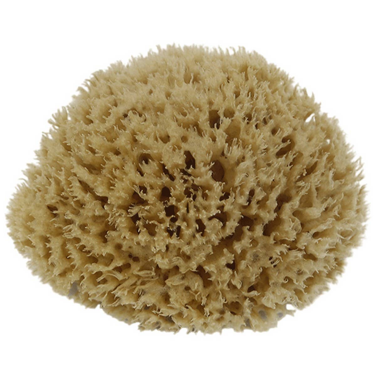 NATURAL COFFEE COLOR SPONGE HONEYCOMB SPONGE