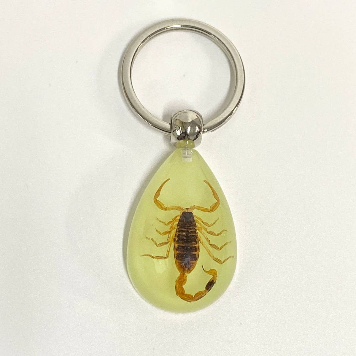 AMBER GLOW-IN-THE-DARK INSECT KEYCHAIN PENDANT_CWMM3698
