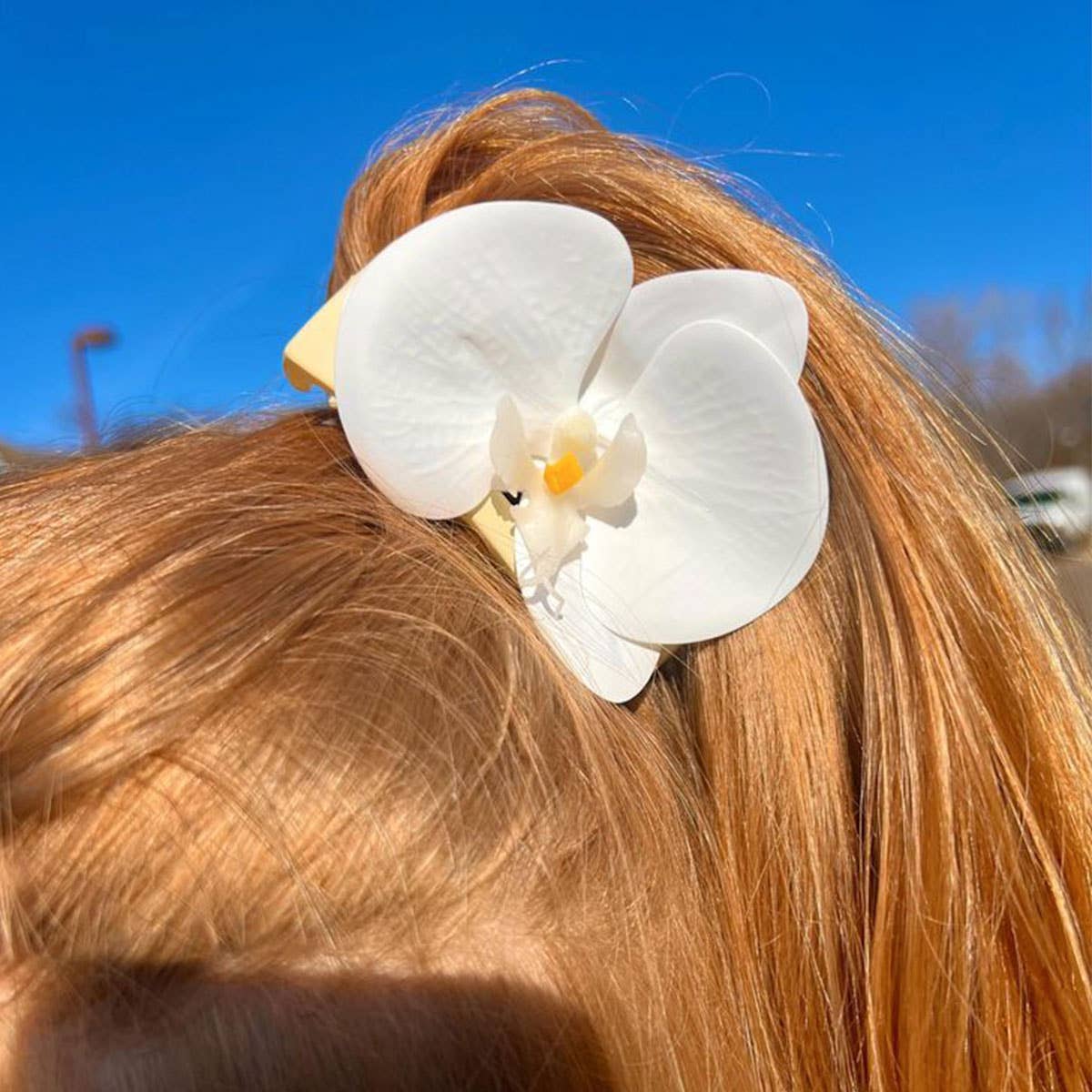 Phalaenopsis Hair Clip, Beachy Floral Accessory_CWAHA4680