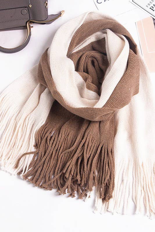Colorblock Knit Scarf ? Long Fringe Winter Wrap
