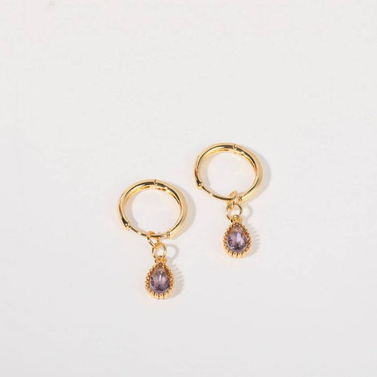 Elegant Zodiac Birthstone Teardrop Earrings Women