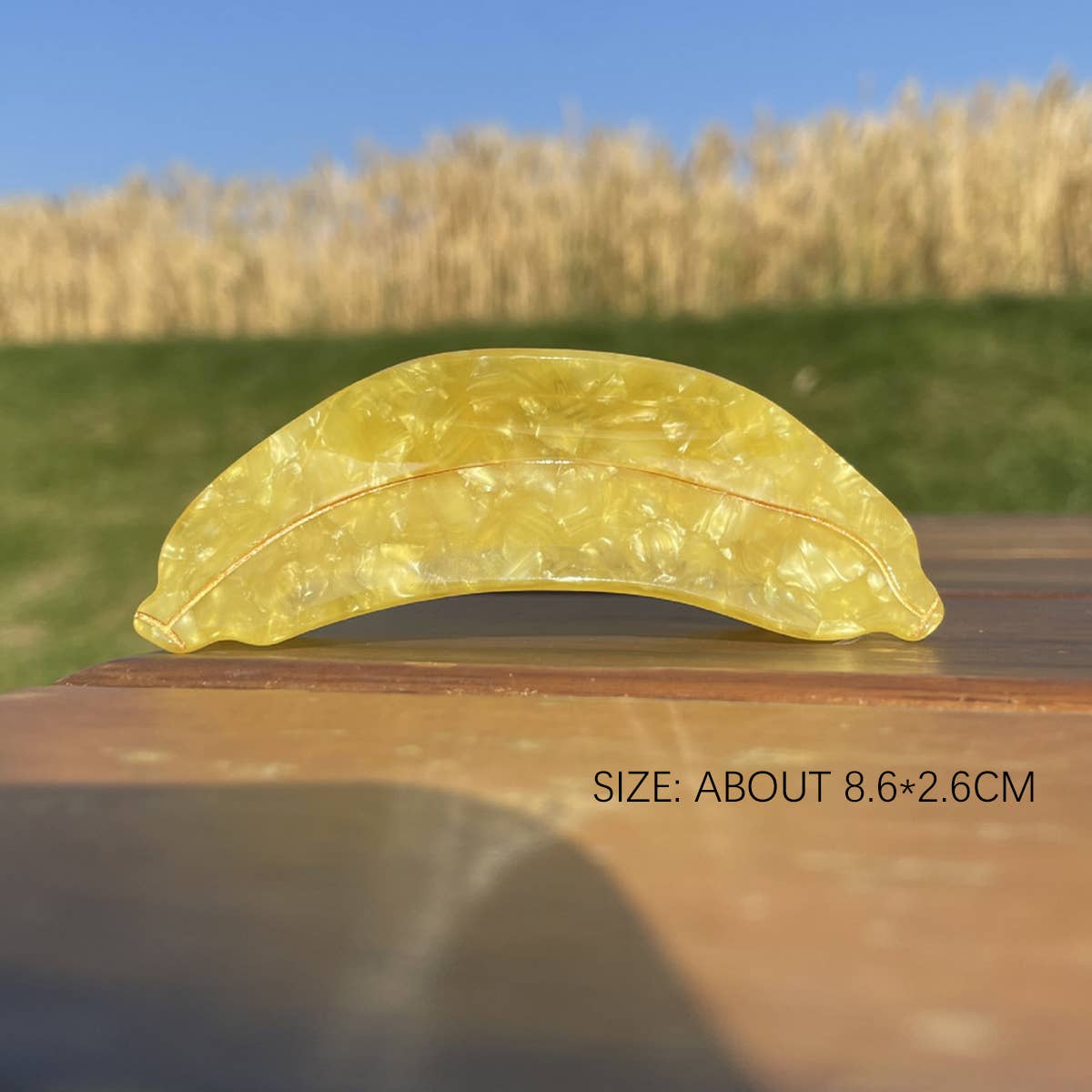 2024 NEW SIMPLE FRUIT GRABBER HAIRPIN_CWAHA0956