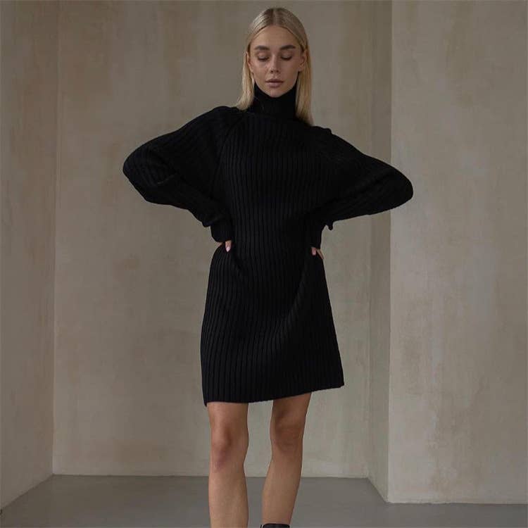 PIT STRIP SOLID COLOR TURTLENECK SWEATER DRESS