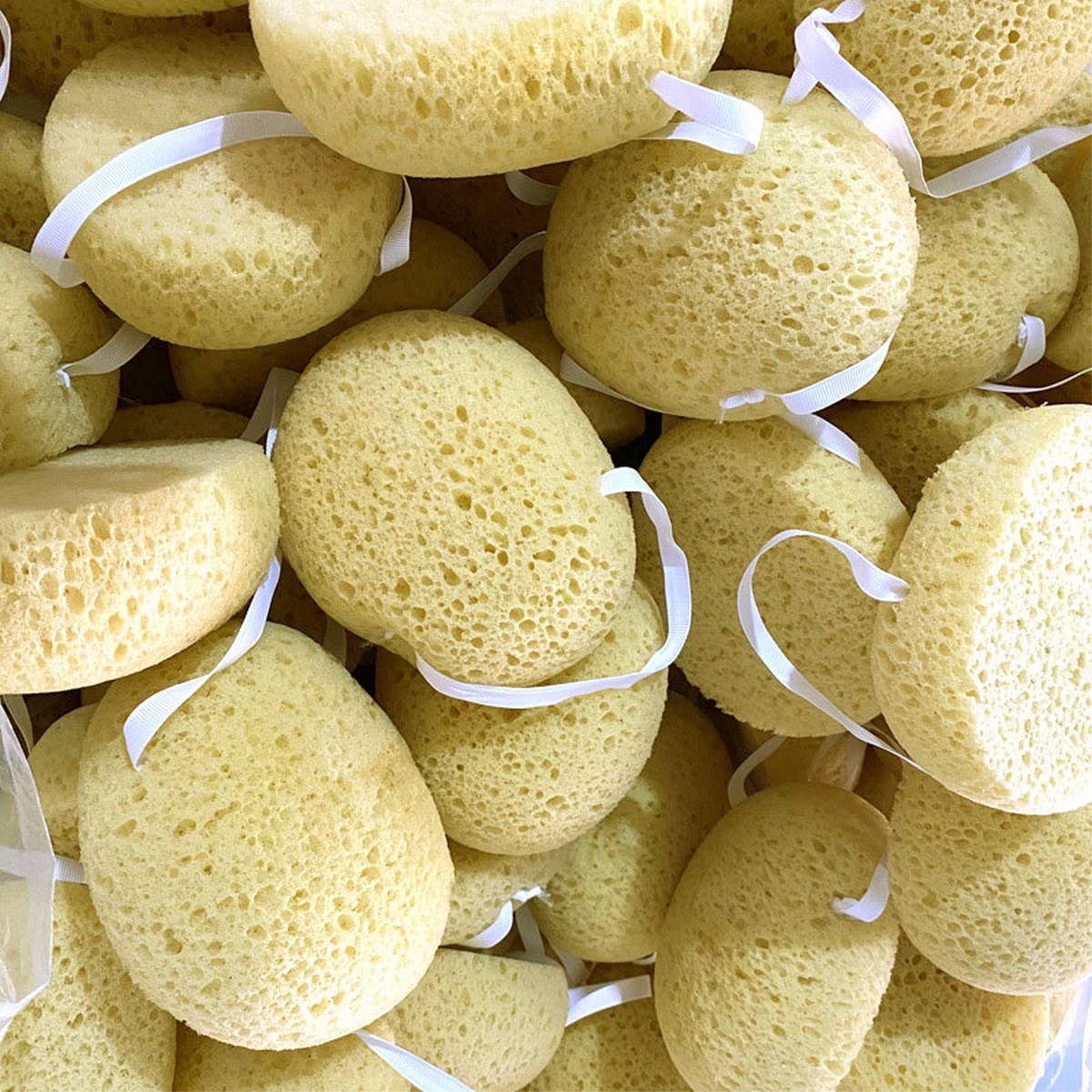 LARGE POROUS SEAWEED BATH SPONGE