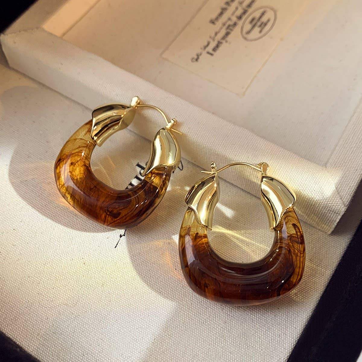 RETRO BROWN LIGHT LUXURY EARRINGS_CWASC1339