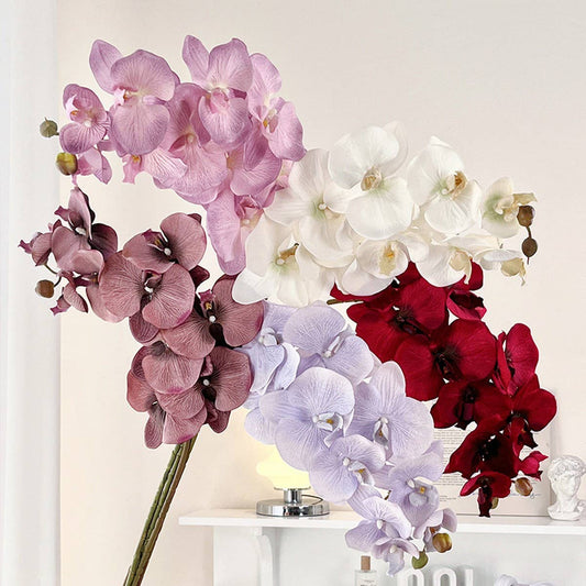 Vintage 10-Head Phalaenopsis Orchid Home Decor