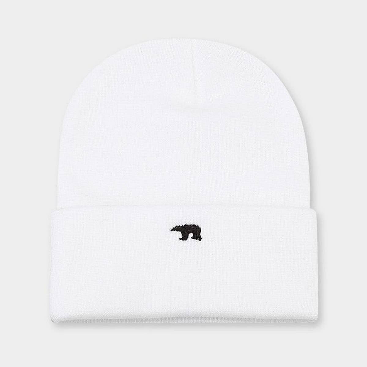 EMBROIDERED THICK WARM KNITTED HAT_CWAH2124